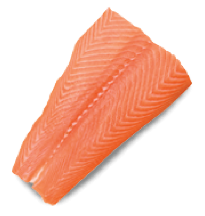 salmon comida perros recompensa