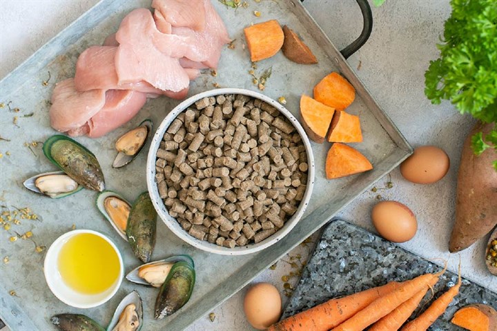 ingredientes frescos para la mejor comida de perros