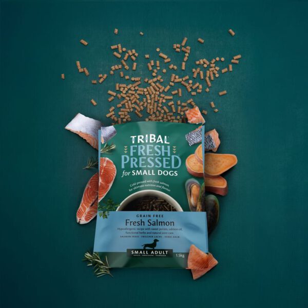 Cold Pressed Small Breed Salmon