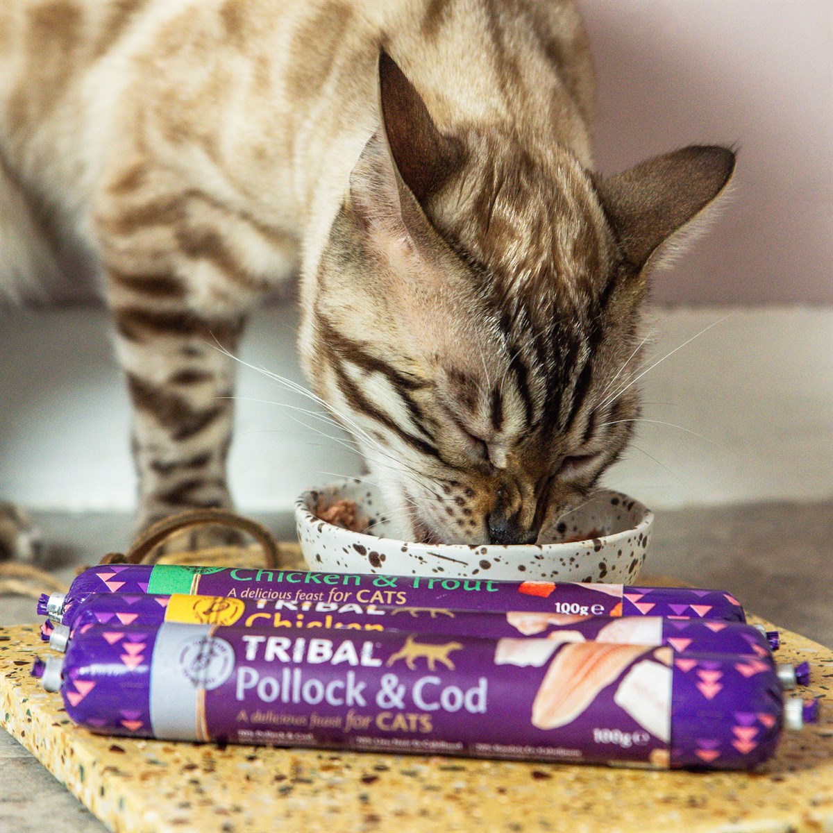 70% Gourmet Sausage Chicken For Cats - Imagen 3